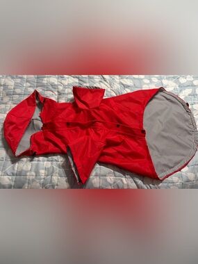 AGuyandAGolden Raincoat